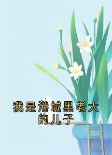 我是港城黑老大的儿子