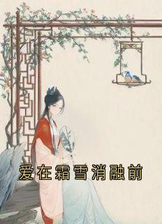 爱在霜雪消融前全文阅读 阮荷夜无烬小说章节目录