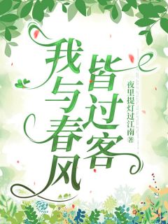 《我与春风皆过客》小说完结版在线试读 沈青栀陆宴小说全文