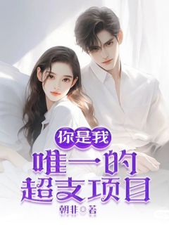 你是我唯一的超支项目