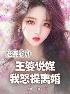 《老婆参加王婆说媒,我怒提离婚》张龙刘兰章节在线阅读