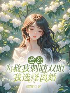 《老公为救我刺瞎双眼,我选择离婚》小说大结局在线阅读 李雯宋航小说全文