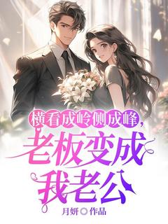 横看成岭侧成峰,老板变成我老公