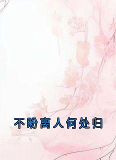 不盼离人何处归