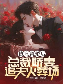 协议离婚后，总裁娇妻追夫火葬场全文免费阅读(许慎舟顾念遥) 完结版