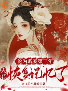 《沦为贱妾第三年,夫君恢复记忆了》小说大结局精彩阅读 余启慎如小说阅读