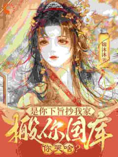是你下旨抄我家，搬你国库你哭啥