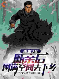 重生70：断亲后囤满空间去下乡