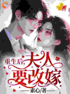 重生后,夫人要改嫁