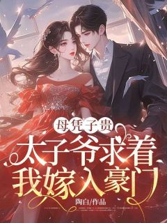 《母凭子贵:太子爷求着我嫁入豪门》夏时谢长宴大结局精彩阅读