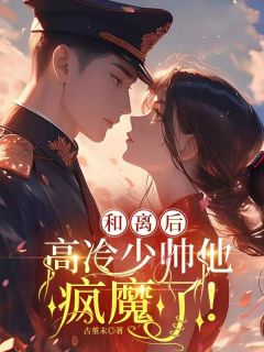和离后，高冷少帅他疯魔了！