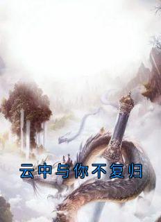 云中与你不复归