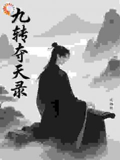 九转夺天录