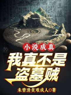 小说成真,我真不是盗墓贼