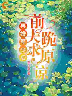再婚军少后，前夫跪求原谅