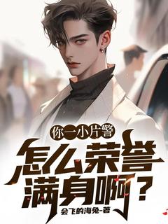 你一小片警,怎么荣誉满身啊?