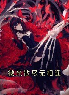 微光散尽无相逢