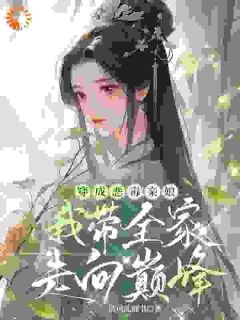 穿成恶毒亲娘，我带全家走向巅峰