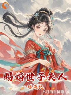 赐婚世子夫人炼成记