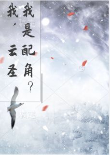 我,云圣,我是配角?