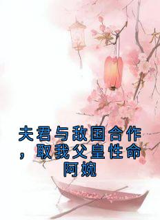夫君与敌国合作，取我父皇性命阿婉