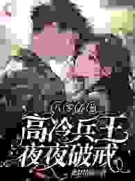 八零养崽，高冷兵王夜夜破戒