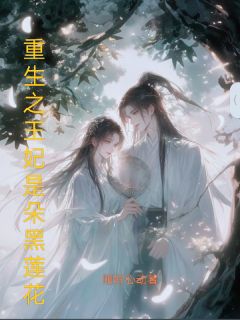 重生之王妃是朵黑莲花
