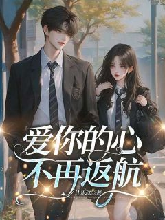 爱你的心不再返航纪妄川林栖雪精彩章节在线阅读