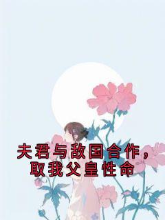 夫君与敌国合作，取我父皇性命