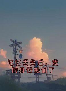 记忆丢失后，我的身份被偷了