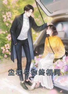 尘埃与你终相同
