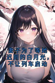 《妻子为了等她迟到的白月光,不让列车启动》许安柳如烟全文免费试读