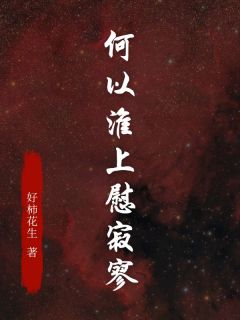 何以淮上慰寂寥