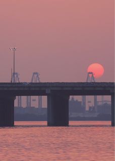 我死遁后，镇北将军疯了