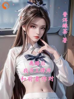 离婚后,我当上律师和前妻作对