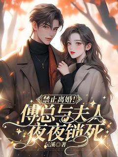 禁止离婚!傅总与夫人夜夜锁死