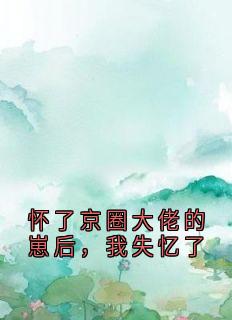 怀了京圈大佬的崽后,我失忆了