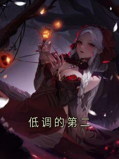 低调的第二