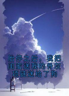 胎停之后，我把闺蜜送我的骨灰项链送给了狗