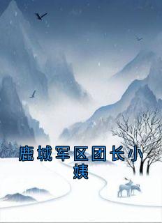 鹿城军区团长小姨全文免费阅读 沈延初霍晚棠大结局无弹窗