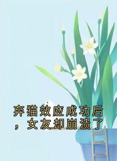 弃猫效应成功后,女友却崩溃了