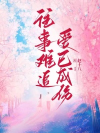 往事难追,爱已成伤