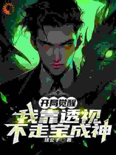 开局觉醒,我靠透视不走宝成神