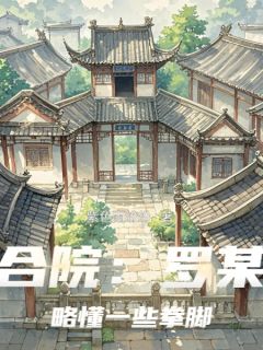 四合院：罗某人略懂一些拳脚