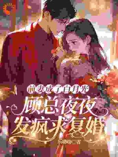 被蓄意报复?大小姐她转身嫁大佬