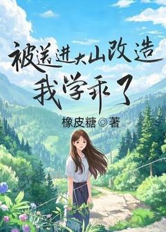 《被送进大山改造,我学乖了》小说全集免费免费试读(林雪齐司辰)