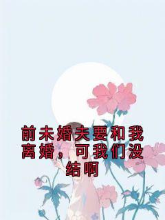 前未婚夫要和我离婚，可我们没结啊