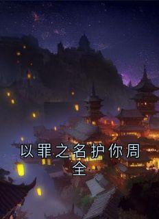 以罪之名护你周全