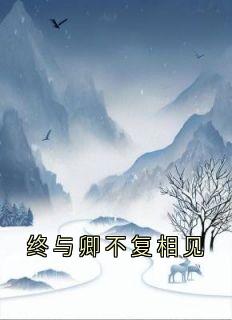 终与卿不复相见