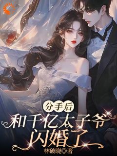 《分手后,和千亿太子爷闪婚了》小说全文免费阅读 《分手后,和千亿太子爷闪婚了》最新章节列表